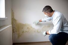 Best Asbestos and Lead Testing During Mold Inspection  in New Glarus, WI